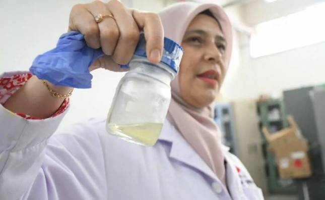 BRIN Sulap Limbah Tandan Kosong Sawit Jadi Sumber Energi dan Bahan Kimia Bernilai