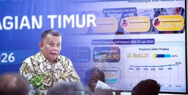 Wamen UMKM Dorong Penyalur KUR Perluas Akses Pembiayaan di Indonesia Timur