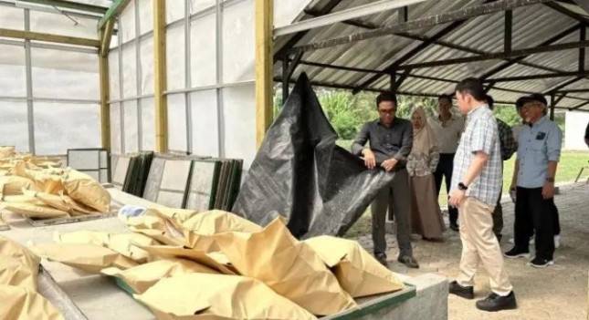 BRIN dan Pertamina Perkuat Hilirisasi Drilling Starch Berbasis Sagu untuk Industri Migas