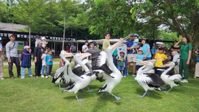 Amazing Aviary Race di Aviary Park Indonesia, Wisata Keluarga di Tangerang Selatan Makin Seru dengan Misi Berhadiah