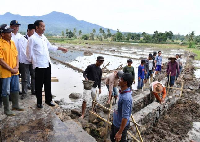 Presiden Jokowi Tinjau Pelaksanaan Padat Karya Tunai di Lampung Selatan 