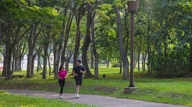 BSD City Kian Hijau, Ruang Terbuka Hijau Capai 30% dan Raih Penghargaan Dunia