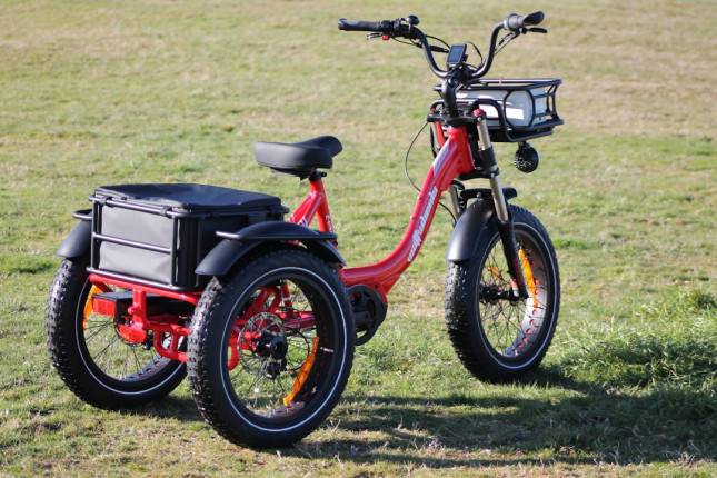 Gak Bisa Bawa Motor? Ini 5 Pilihan Sepeda Listrik Roda Tiga Paling Aman dan Nyaman untuk Ibu-ibu