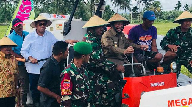 Stok Beras Aman, Gubernur Maluku Utara Ikut Panen Padi di Halmahera Utara