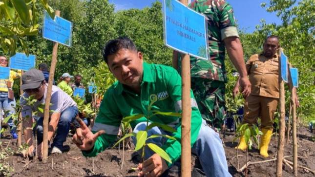 Menjaga Mangrove, Mengamankan Masa Depan: Aksi Hijau NHM dan Pemda Halut di KEE Desa Kao