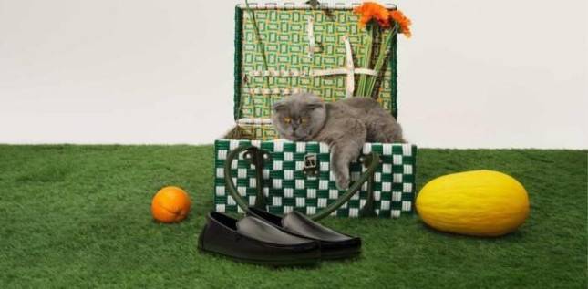 Bata Indonesia Luncurkan Kampanye Make Yourself Comfortable, Hadirkan Office Shoes Nyaman untuk Pekerja Urban