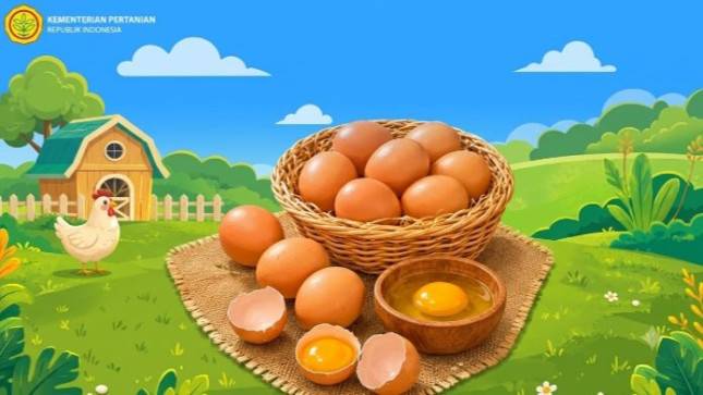 Jangan Salah Pilih! Kenali Ciri-Ciri Telur Segar dan Berkualitas