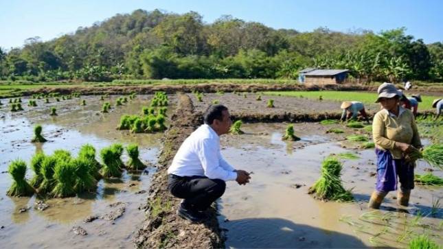 Mentan Amran Pangkas Juknis Alsintan Usai Berdialog Langsung dengan Buruh Tani di Semarang