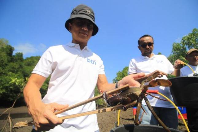 Tanam 10.000 Mangrove di Kuta Bali, BTN Dukung Kawasan Urban Berkelanjutan