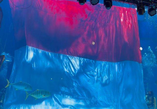 Spektakuler! Diver JAQS Kibarkan Merah Putih Raksasa di Bawah Air