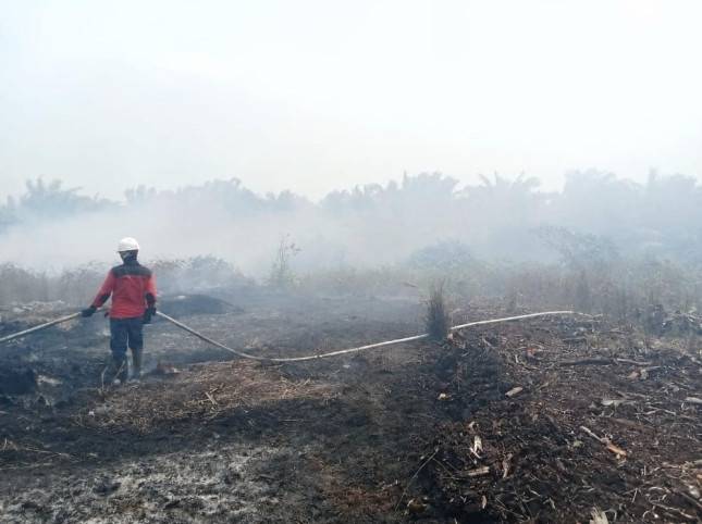 PT Mayawana Persada Intensif Tangani Karhutla di Kalimantan Barat