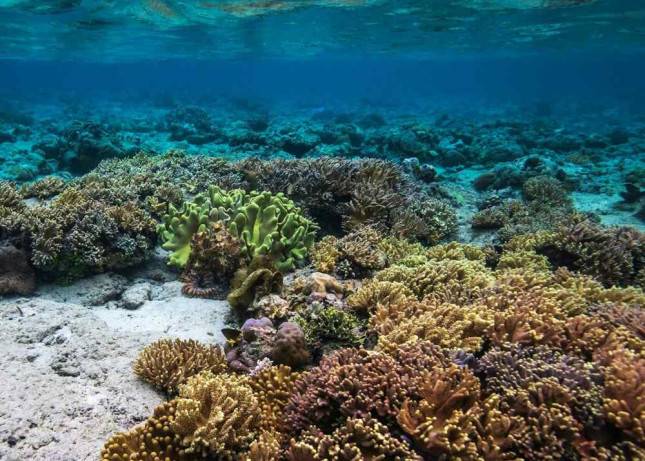 Agoda Ungkap Destinasi Alam Favorit untuk Libur Maulid Nabi