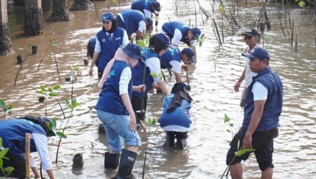 Keren! Lanjutkan Pelestarian Pantai Bahak Probolinggo, SIG Ajak 10 Relawan Bakti BUMN 2026 Perkuat Ekosistem Pesisir