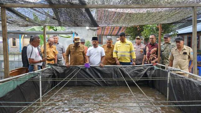 Panen Raya Sadaka Farm: Sinergi NHM, Pemda, dan Warga Lahirkan Sumber Ekonomi Baru