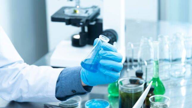 8 Daun Obat Rumahan yang Jarang Diketahui tapi Punya Khasiat Luar Biasa