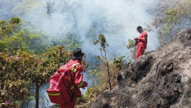 Pemerintah Cabut Izin Lima Perusahaan Terkait Pelanggaran Karhutla