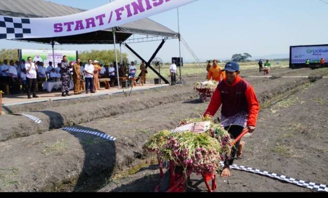 Lewat Program Pestani, Petrokimia Gresik Dongkrak Panen Bawang Merah Nganjuk hingga 12% 