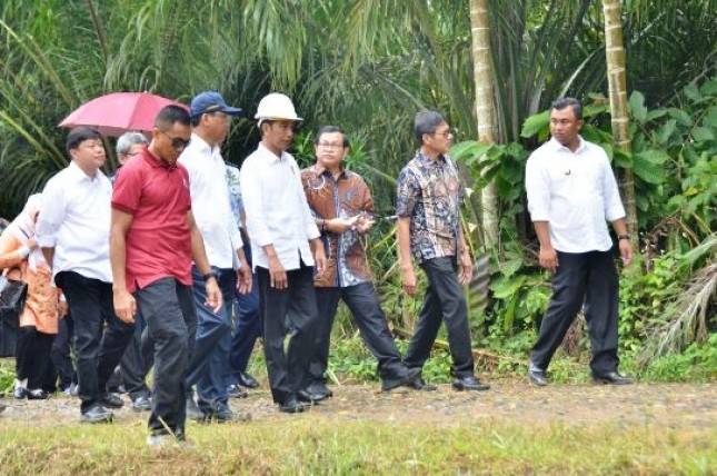 Dukung Akses Wisata di Sumbar, Jokowi Ground Breaking Tol Padang Pariaman-Bukittinggi