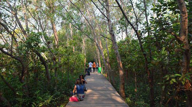 Kebun Raya Mangrove Surabaya Bakal jadi Hutan Mangrove Terbesar di Indonesia