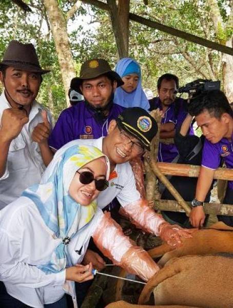 Punya Potensi, Kementan Dorong Luwu Utara Garap Pembibitan Sapi Potong