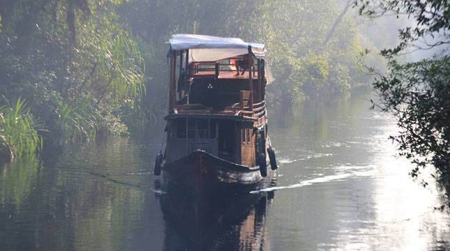 Wisata Susur Sungai Sekonyer dan Sensasi Menginap di Perahu Klotok, Kalteng