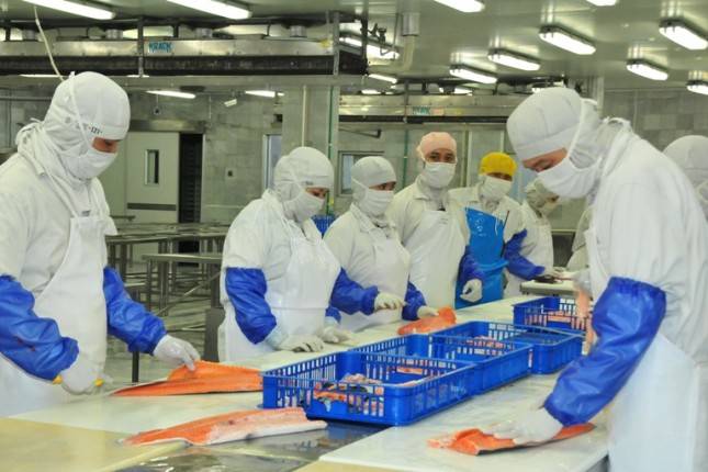 Industri Olahan Ikan Akan Tumbuh 10 Persen