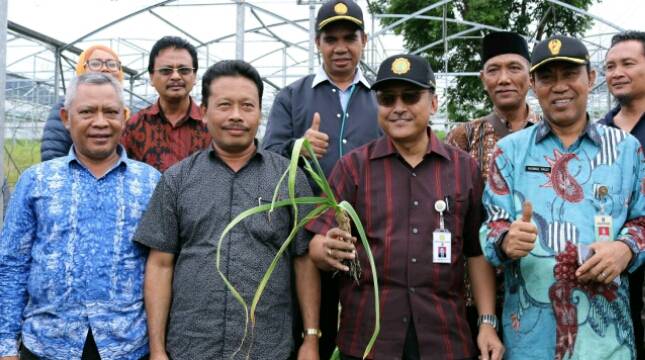 Kementan Ingin Kembalikan Kejayaan Bawang Putih di Sembalun