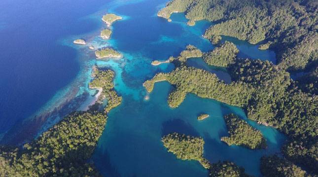 Ini Dia! Surganya Spot Diving Terbaik Ada di Halmahera Selatan