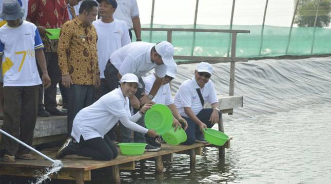 Dorong Optimalisasi Pemanfaatan Hutan, Menteri Rini Kunjungi Muara Gembong