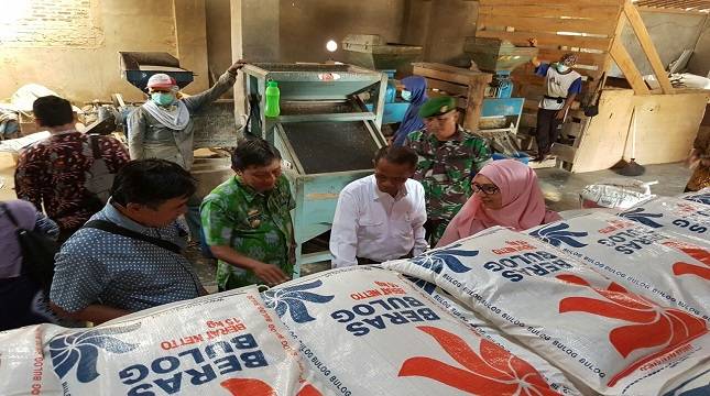 Kementan Bantu Bulog Serap Gabah Untuk Cadangan Pangan Pemerintah