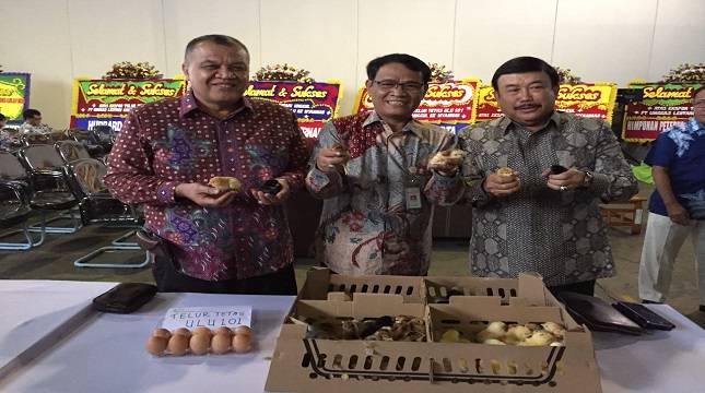 Aspek Kesehatan Hewan Jadi Kunci Utama, Ekspor Telur Tetas Ayam Tembus ke Myanmar   