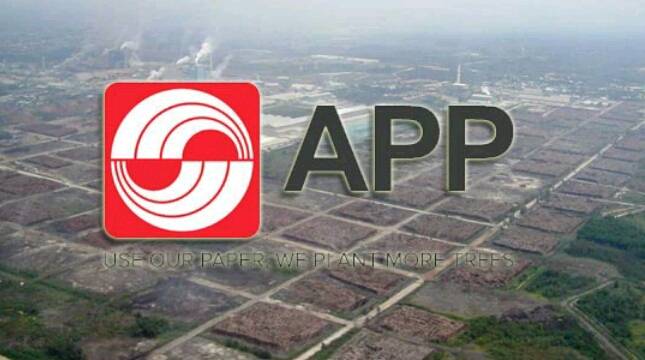 Terapkan Manajamen Terintegrasi, APP Sinar Mas Turunkan Angka Kebakaran di Konsesi Hingga Hampir Nol