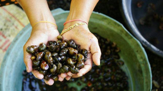 Mencicipi Lezatnya Kreco Kuliner Khas Warga Ranu Klakah, Lumajang