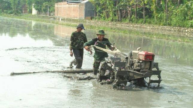  Gerakan Luas Tambah Tanam Dandim 0723/Klaten