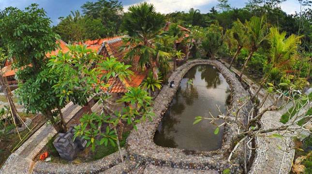 Kampung Flory, Resmi dijadikan Desa Wisata Agro di Sleman