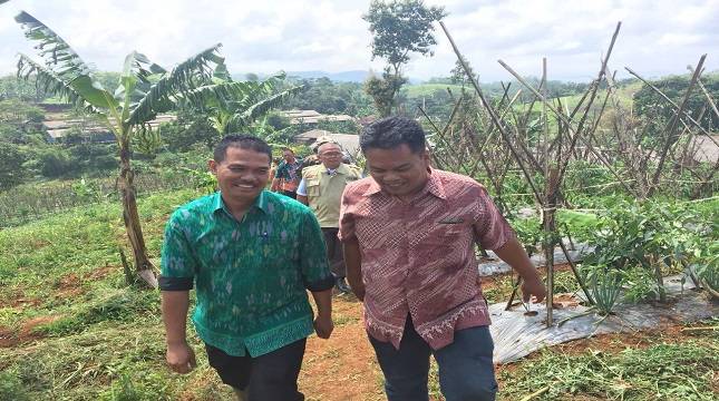 Ekonomi Indonesia Triwulan II-2018 tumbuh 4,21%, Lapangan Usaha Pertanian Paling Tinggi