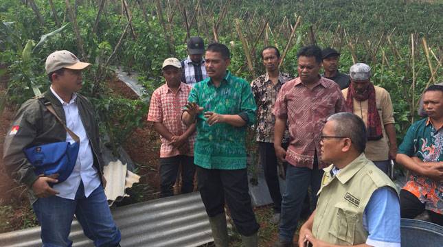 Kementan Tegaskan Wajib Tanam Importir Bawang Putih Tetap Lanjut