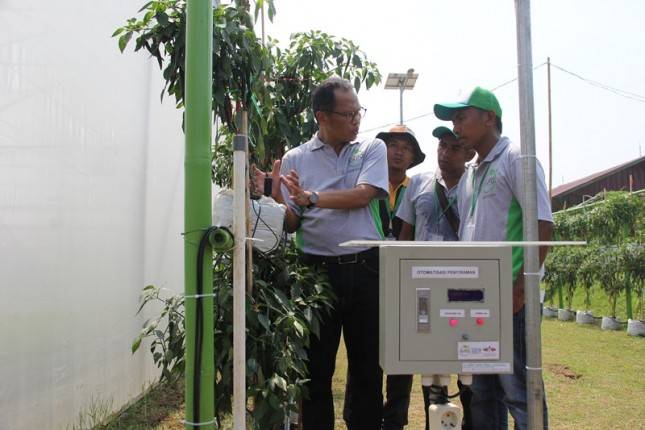 Ewindo Terapkan Teknologi Terkini Petani dalam Budidaya Sayuran Lewat Expo Nasional 2018 
