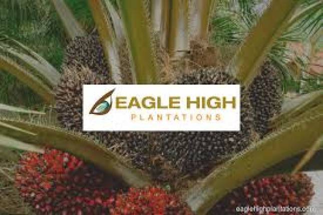 Felda Tak Mungkin Hengkang dari Eagle High Plantations
