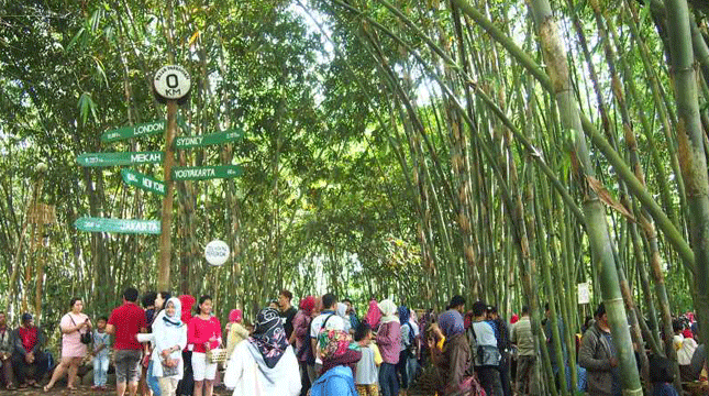 Pasar Papringan, Bakal Buka Kembali Bulan Juli Mendatang
