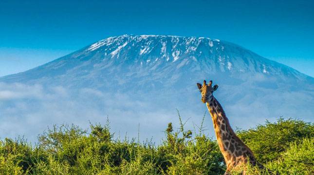 Sebelum ke Puncak Kilimanjaro, Ini Persiapan Khusus Ramon Y Tungka