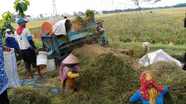 Kementan Dorong Percepatan Sergap Di Sub Divre Bojonegoro Jawa  Timur