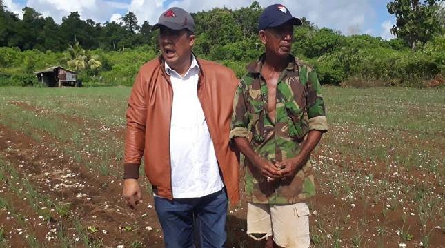 Maluku Tenggara : Mutiara Baru Sentra Bawang Merah dari Timur