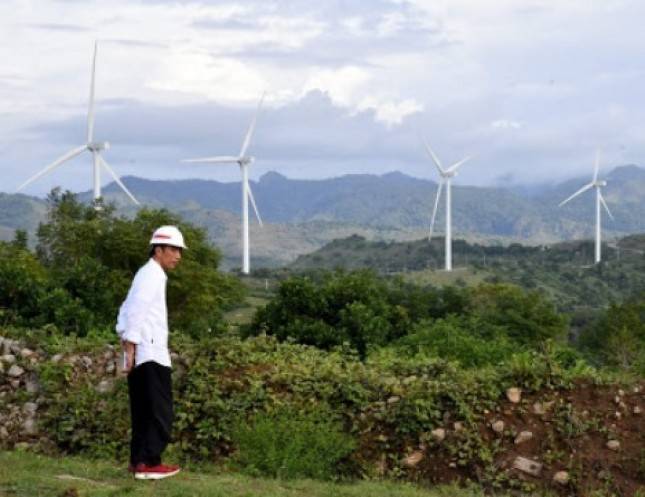 Greenpeace Desak Pemerintah Terus Kembangkan Energi Terbarukan