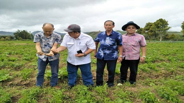  Kawasan MODASI : Surga Pengembangan Sayuran dan Bawang Putih