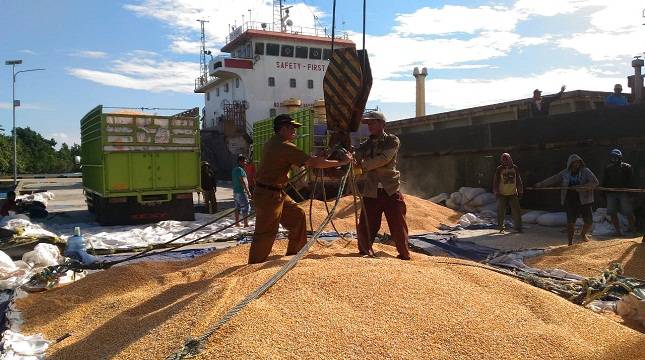 Touna Ekspor 14.000 Ton Jagung ke Philipina
