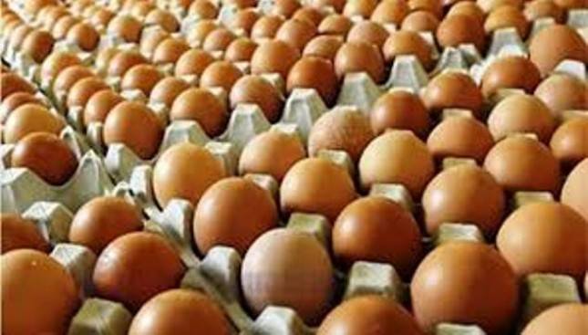 Pemerintah Perlu Dalami Permasalahan Pasokan Telur Ayam