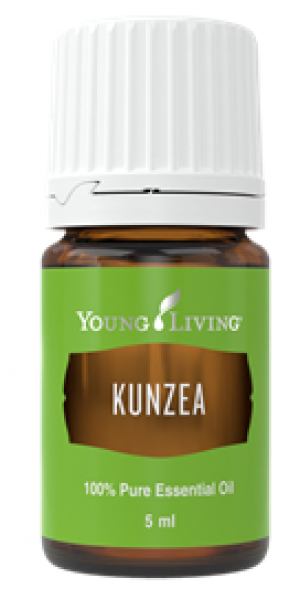 Blue Tansy dan Kunzea Hadir Lengkapi Kolekbsi Young Living Indonesia 