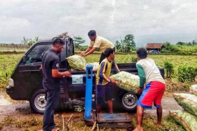 Melalui Sistem Usaha Pertanian, Kementan Sukses Kembangkan Lahan Kering di Banten