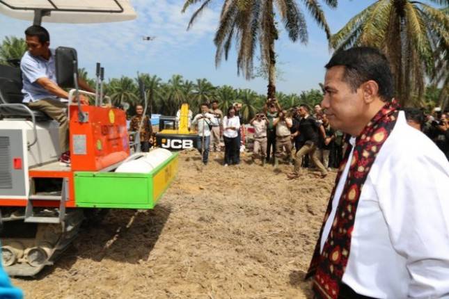 Peremajaan Sawit Rakyat didorong untuk Jaga Produktivitas, Hasilkan Devisa, dan Pendapatan Petani